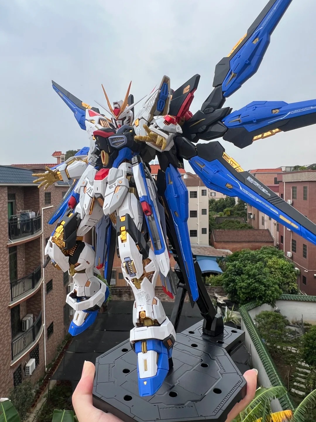 Changlong 7701 ZGMF/A-262PD-P  - Model Kit Zeus reseña y precio